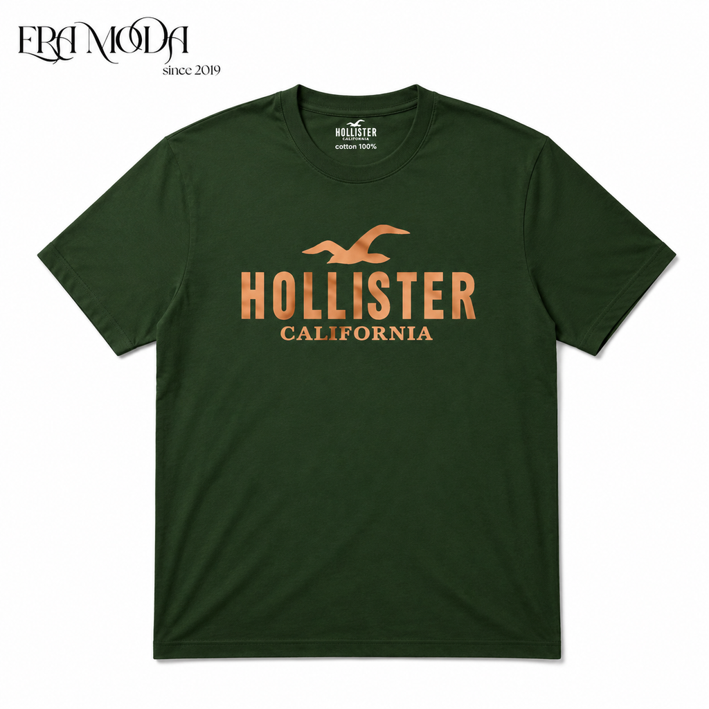 Holister T-shirt