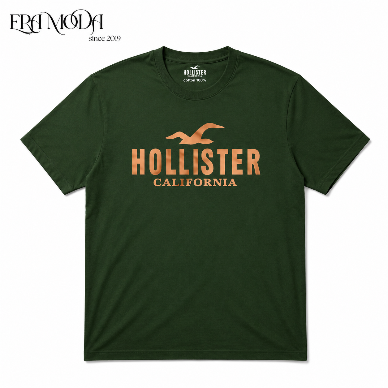 Holister T-shirt
